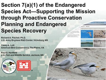 US Army Corps of Engineers BUILDING STRONG ® Section 7(a)(1) of the Endangered Species Act—Supporting the Mission through Proactive Conservation Planning.