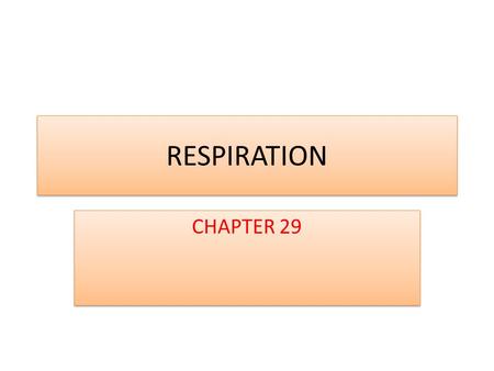 RESPIRATION CHAPTER 29.