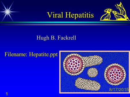 Hugh B. Fackrell Filename: Hepatite.ppt