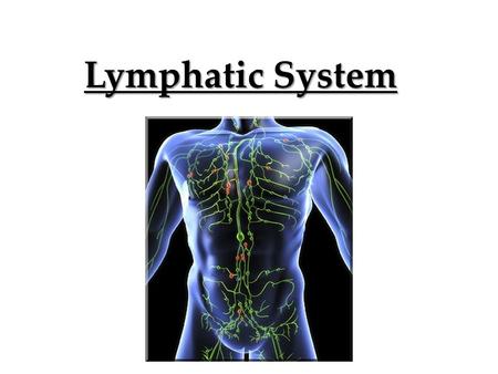 Lymphatic System. Transportation system that allows waste products from cells to be transported back to the blood stream interstitial fluid Our cells.