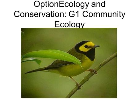 OptionEcology and Conservation: G1 Community Ecology.