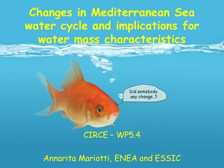 Changes in Mediterranean Sea water cycle and implications for water mass characteristics CIRCE – WP5.4 Annarita Mariotti, ENEA and ESSIC Did somebody say.