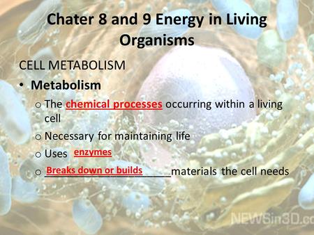 Chater 8 and 9 Energy in Living Organisms