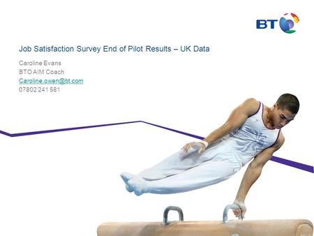 Job Satisfaction Survey End of Pilot Results – UK Data Caroline Evans BTO AIM Coach 07802 241 581.