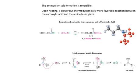 The ammonium salt formation is reversible. Upon heating, a slower but thermodynamically more favorable reaction between the carboxylic acid and the amine.