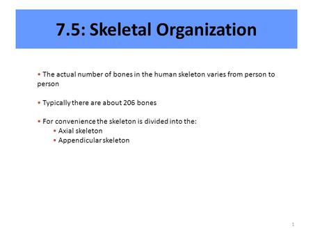7.5: Skeletal Organization
