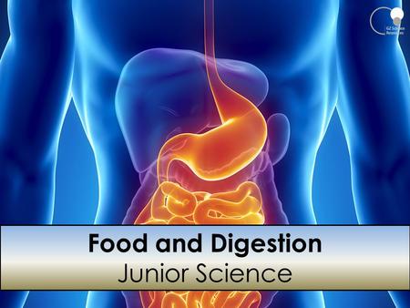 Food and Digestion Junior Science.