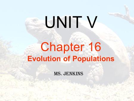 UNIT V Chapter 16 Evolution of Populations Ms. Jenkins.