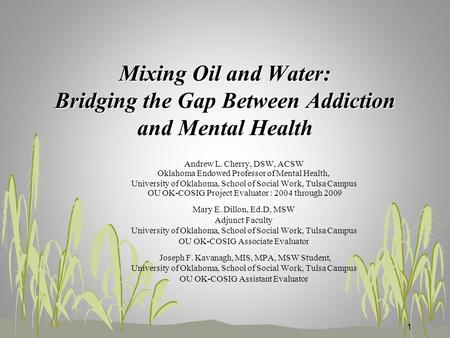 Mixing Oil and Water: Bridging the Gap Between Addiction and Mental Health Andrew L. Cherry, DSW, ACSW Oklahoma Endowed Professor of Mental Health, University.