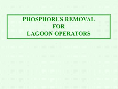 PHOSPHORUS REMOVAL FOR LAGOON OPERATORS WHY THE CONCERN OVER P.