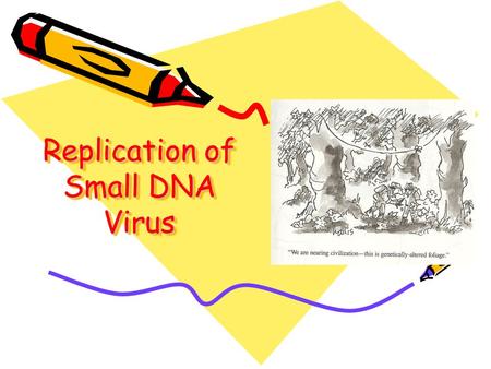 Replication of Small DNA Virus