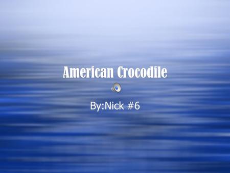American Crocodile By:Nick #6 American crocodile  Pollution  Litter  Illegal hunting  Pollution  Litter  Illegal hunting.