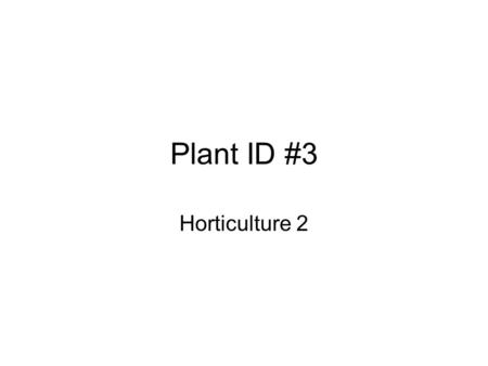 Plant ID #3 Horticulture 2. Chamaecyparis pisifera Gold Mop –Foliage: medium- to large-sized evergreen shrub; scale-like or awl-like leaves press close.