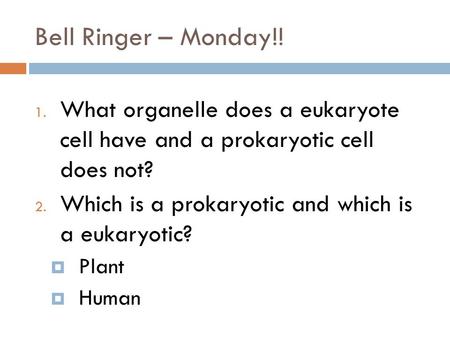 Bell Ringer – Monday!! What organelle does a eukaryote cell have and a prokaryotic cell does not? Which is a prokaryotic and which is a eukaryotic?