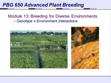 PBG 650 Advanced Plant Breeding