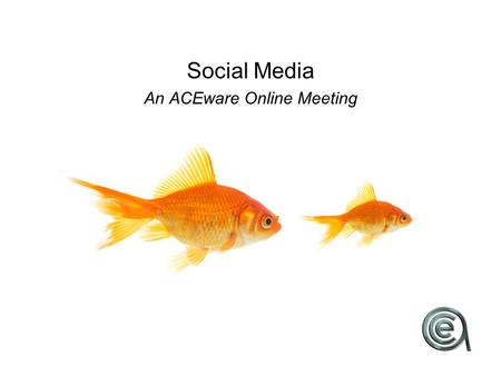 Social Media An ACEware Online Meeting. Do you currently have a staff person responsible for social media?