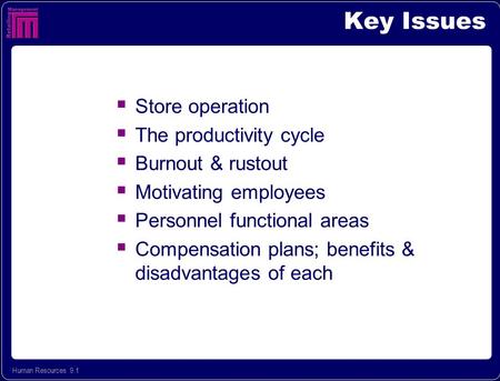 Human Resources 9.1 Key Issues  Store operation  The productivity cycle  Burnout & rustout  Motivating employees  Personnel functional areas  Compensation.