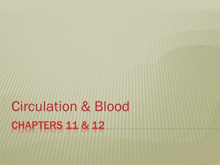 Circulation & Blood.  Body is made of cells  Cells various need chemicals  Circulatory system: made of your blood, blood vessels, and heart  Blood.