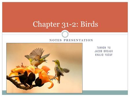 NOTES PRESENTATION TANNON YU JACOB BREAUX KHALID YUSUF Chapter 31-2: Birds.