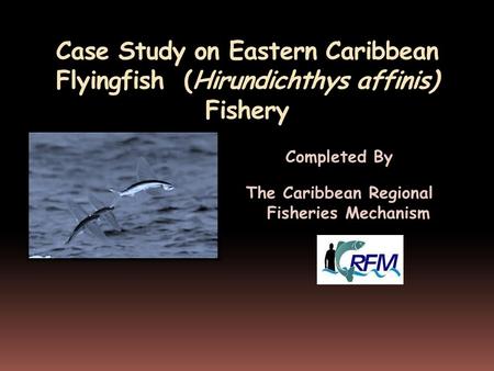 Case Study on Eastern Caribbean Flyingfish (Hirundichthys affinis) Fishery Completed By The Caribbean Regional Fisheries Mechanism.