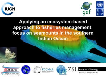 Applying an ecosystem-based approach to fisheries management: focus on seamounts in the southern Indian Ocean Agulhas and Somali Current Large Marine Ecosystems.