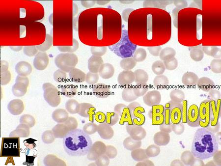 Blood for AS Biology Objective: