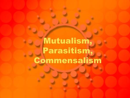 Mutualism, Parasitism, Commensalism. Mutualism Mutualism- interaction between two or more species where both species benefit from one another Example-