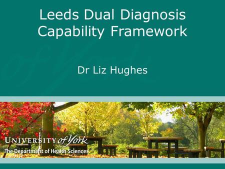 Leeds Dual Diagnosis Capability Framework