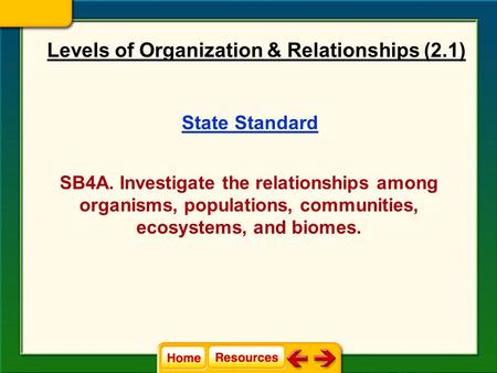 Levels of Organization & Relationships (2.1)