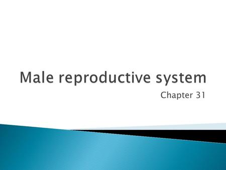 Chapter 31. Keep it anonymous and legitimate! Regulation of correct hormonal level must be maintained.