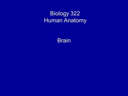 Biology 322 Human Anatomy I Brain. Human Central Nervous System Starts as a fold which forms a hollow tube in the embryo;