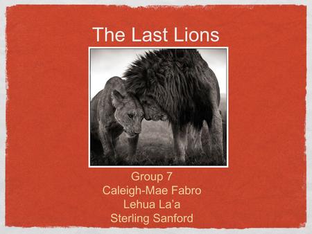 The Last Lions Group 7 Caleigh-Mae Fabro Lehua La’a Sterling Sanford.