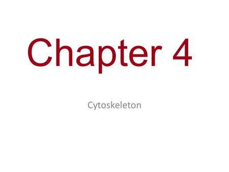 Chapter 4 Cytoskeleton. You Must Know The structure and function of the cytoskeleton. Organelles found only in plant cells or only in animal cells. (Page.