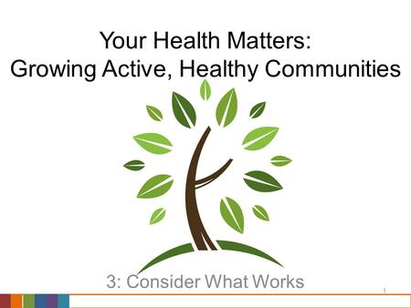 1 Your Health Matters: Growing Active, Healthy Communities 3: Consider What Works.