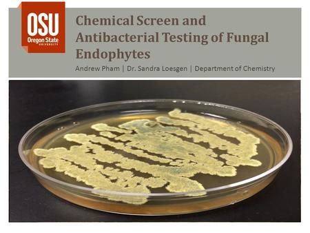 Chemical Screen and Antibacterial Testing of Fungal Endophytes Andrew Pham | Dr. Sandra Loesgen | Department of Chemistry.