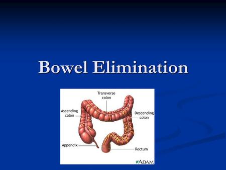 Bowel Elimination.
