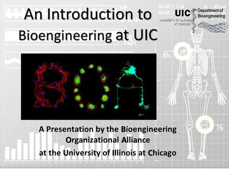 An Introduction to Bioengineering at UIC B OA A Presentation by the Bioengineering Organizational Alliance UIC at the University of Illinois at Chicago.