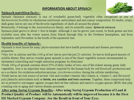 Spinach nutrition facts:- Spinach (Spinacia oleracea) is one of wonderful green-leafy vegetable often recognized as one of the functional foodsfor its.