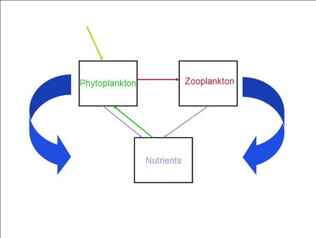 Phytoplankton Nutrients Zooplankton. What have we covered? Large-scale oceanography Large-scale oceanography Phytoplankton “box” Phytoplankton “box” Regulation.
