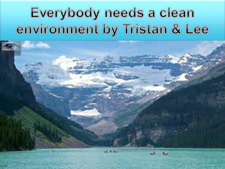 That’s why I’m giving them my own 10 rules for having a cleaner environment. not just any environment, one that they can keep – maybe forever. All right,