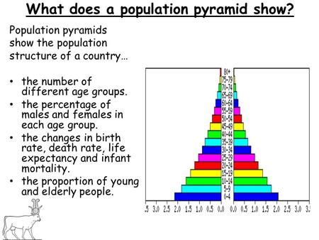 What does a population pyramid show? Population pyramids show the population structure of a country… the number of different age groups. the percentage.