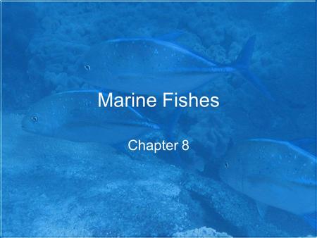 Marine Fishes Chapter 8. Vertebrates Share characteristics with protochordates (invert chordates) –Single, hollow nerve cord –Pharyngeal slits –Notochord.