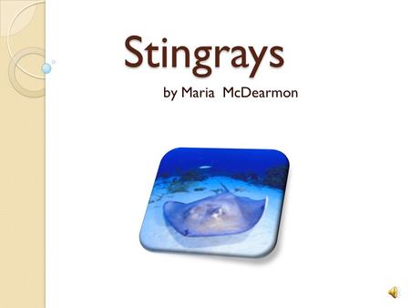 Stingrays by Maria McDearmon.