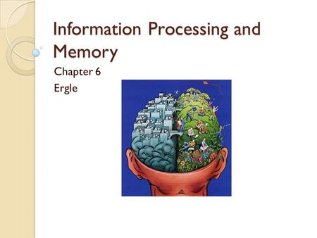 Information Processing and Memory Chapter 6 Ergle.