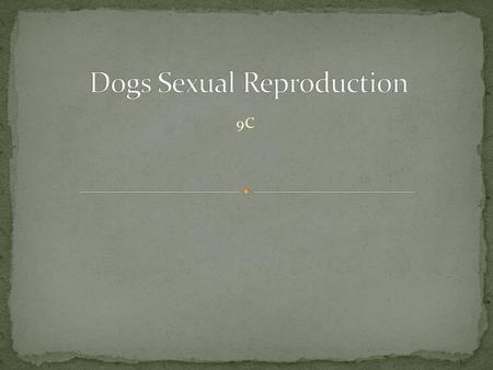 9C. Internal Dogs and bitches, after mating, sperm enter the egg, sperm and egg combine to form the new combination of child, called fertilization.