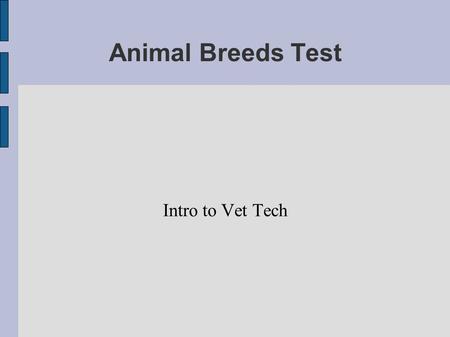 Animal Breeds Test Intro to Vet Tech. 1. This dog was originated in Germany in the 1900's. They were found so that it was used at a guardian and a companion.