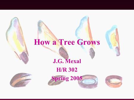 How a Tree Grows J.G. Mexal H/R 302 Spring 2005. Forestry & Society How a Tree Grows- Trees are the 2nd largest organism- Eucalyptus Sequoia Trees are.