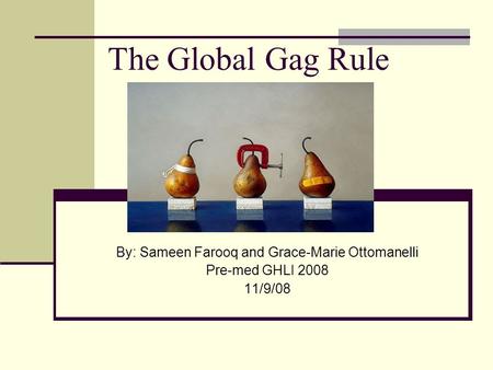 The Global Gag Rule By: Sameen Farooq and Grace-Marie Ottomanelli Pre-med GHLI 2008 11/9/08.