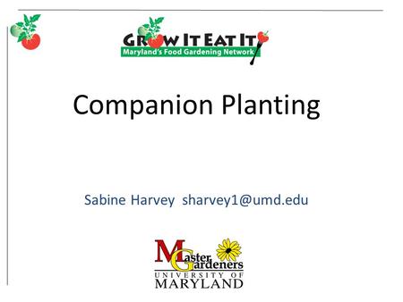 Companion Planting Sabine Harvey