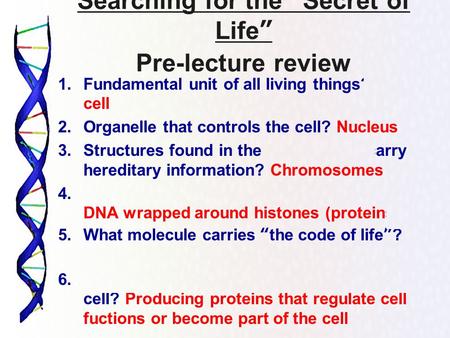 Searching for the “Secret of Life” Pre-lecture review 1.Fundamental unit of all living things? The cell 2.Organelle that controls the cell? Nucleus 3.Structures.
